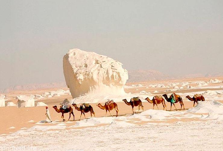 Белая пустыня в Египте фото