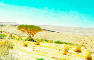 Достопримечательности пустыни Негев